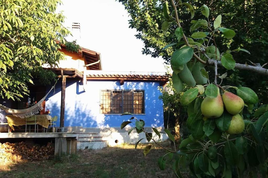 Vila Country House Tra Lago E Mare A Sud Di Roma Campoleone Exteriér fotografie